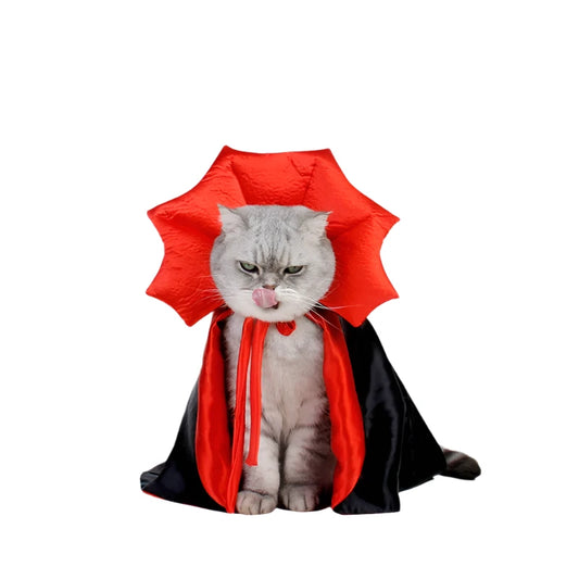 Pets Vampire Costume